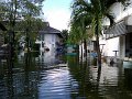 flood@RMUTT (15)